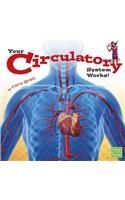 Circulatory