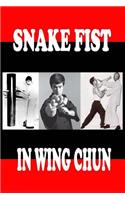 Snake fist in wing chun