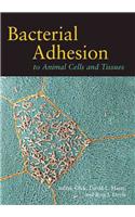 Bacterial Adhesion to Animal Cells and Tissues