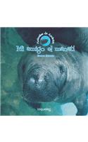 Mi Amigo El Manati