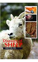Diseases of Sheep