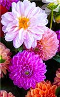 Notebook: dahlia blossom bloom flowers nature flora 5" x 8" 150 Ruled Pages