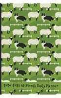 2020 - 2021 18 Month Daily Planner: Border Collies Hard at Work Herding Sheep Cover - Daily Organizer Calendar Agenda - 6x9 - Work, Travel, School Home - Monthly Yearly Views - To Do L