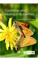 Courtship and Mating in Butterflies