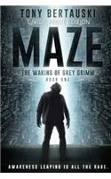 Maze (Large Print Edition)
