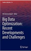 Big Data Optimization: Recent Developments and Challenges: (18 Studies in Big Data)