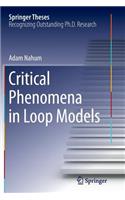 Critical Phenomena in Loop Models: (Springer Theses)