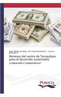 Remesas del centro de Tamaulipas para el desarrollo sustentable