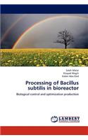 Processing of Bacillus Subtilis in Bioreactor