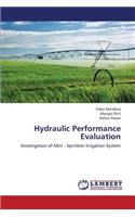 Hydraulic Performance Evaluation