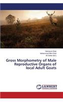 Gross Morphometry of Male Reproductive Organs of local Adult Goats