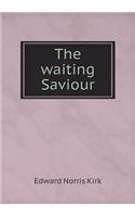 The waiting Saviour