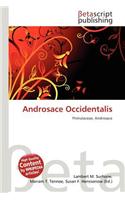 Androsace Occidentalis: (English)