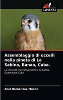 Assemblaggio di uccelli nella pineta di La Sabina, Banao, Cuba.