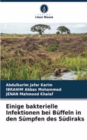 Einige bakterielle Infektionen bei Büffeln in den Sümpfen des Südiraks