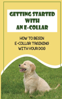 Getting Started With An E-Collar: How To Begin E-Collar Training With Your Dog: E Collar Training For Golden Retrievers
