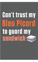 Can't trust my Bleu Picard to guard my sandwich: For Bleu Picard Dog Breed Fans
