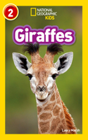 Giraffes