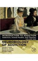 Introduction to Addiction: Addiction, Animal Models, and Theories (Volume 1) (Neurobiology of Addiction Series, Volume 1)