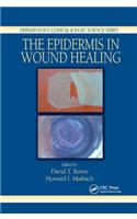 The Epidermis in Wound Healing