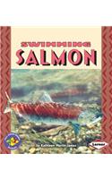 Swimming Salmon