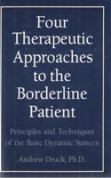 Four Therapeutic Approaches to the Borderline Patient