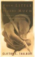 When Little Became Much