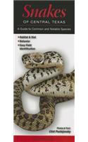 Snakes of Central Texas