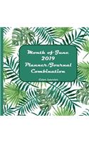 Month of June 2019 Planner/Journal Combination: Sixth Month in the lined Planner/Journal Combo Series, color interior, matte cover, paperback, daily guided mindfulness journal, half-hour increment