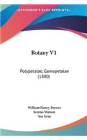 Botany V1
