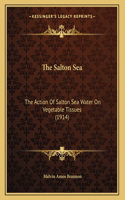 The Salton Sea