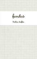fundus