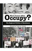 What Comes After Occupy?: The Regional Politics of Resistance