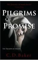 Pilgrims of Promise