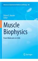 Muscle Biophysics