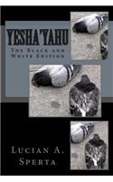 Yesha'yahu