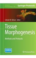 Tissue Morphogenesis: Methods and Protocols