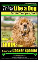 American Cocker Spaniel, American Cocker Spaniel Training AAA Akc