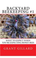 Backyard Beekeeping #1