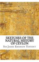 Sketches of the Natural History of Ceylon