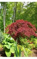 Summer Landscaping Journal: (Notebook, Diary, Blank Book)(Nature Photo Journals Notebooks Diaries)