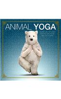 Animal Yoga
