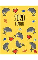 Delfin Planer 2020