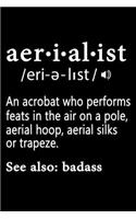Aerialist Definition Notebook
