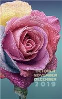 October, November, December 2019