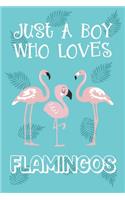 Just A Boy Who Loves Flamingos