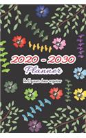 2020 - 2030 Planner: An 11 years chaos organizer