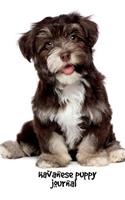 Havanese Puppy Journal: 6 x 9 inch dog notebook, dog lined journal, 200 pages