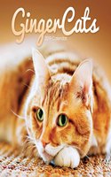 GINGER CATS W 2019: (SQUARE)