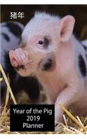 &#29482; &#24180; Year of the Pig 2019 Planner: Chinese New Year Cute Piglet Diary and Journal